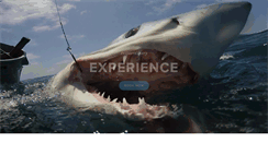 Desktop Screenshot of californiasharkfishing.com